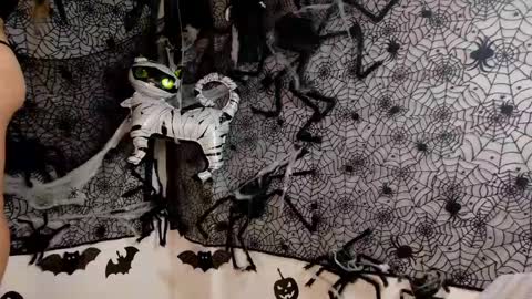 Julietta Jackson online show from October 9, 7:07 pm