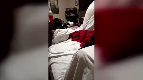 k8k8bella online show from April 19, 8:36 am