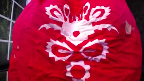 Alisha online show from October 10, 10:20 am