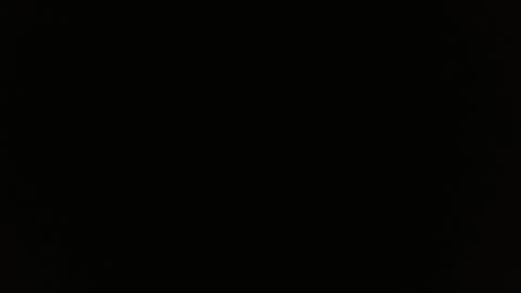 Kamelia  6 am-10 am  4 pm-6 pm online show from February 12, 11:07 am