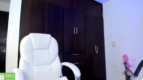 Snapshot of kariitto___ds chatting on January 24, 2:49 am kariitto___ds online show from January 24, 2:49 am