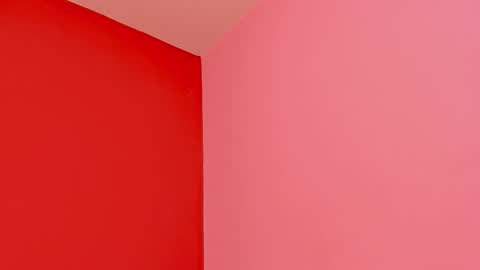 Kate  online show from February 22, 11:33 am