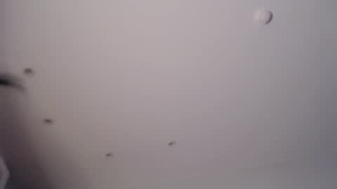 Your Kate online show from November 18, 10:27 am