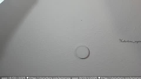 Snapshot of katestone_again chatting on February 14, 7:44 pm love meeee online show from February 14, 7:44 pm