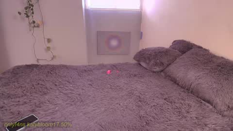    online show from February 21, 4:08 pm