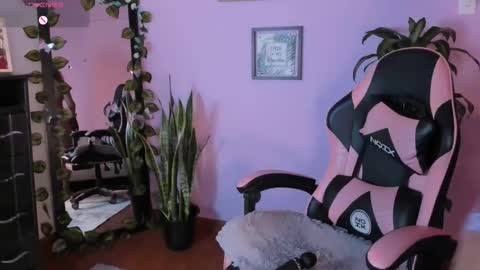  01  online show from December 1, 6:54 pm