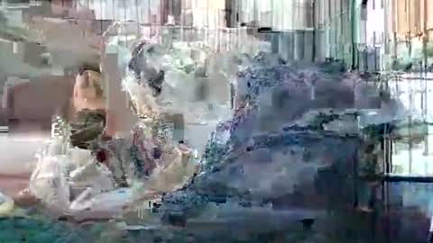 kennedykahle online show from February 22, 4:52 pm