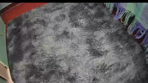 Keyla online show from May 7, 3:44 am