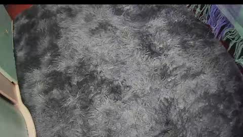 Keyla online show from May 8, 3:54 am
