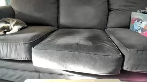 Kinky online show from May 15, 11:57 am