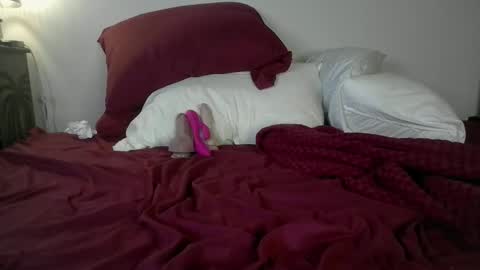 Koko online show from April 8, 10:50 am