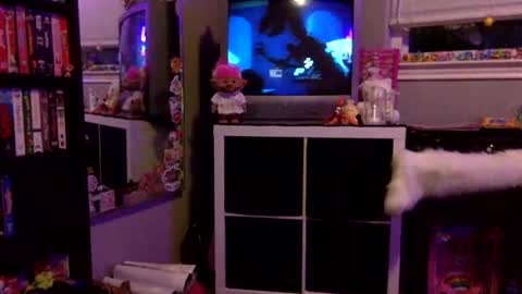 kittykatcoco online show from November 11, 4:19 am