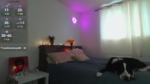 Kittyymaze online show from December 12, 1:28 pm