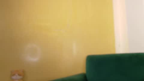 Kitty Zen online show from March 12, 4:53 pm