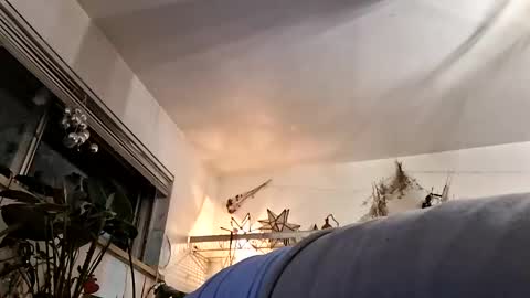 lacybell online show from May 6, 9:24 am