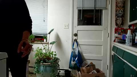 lacybell online show from February 15, 5:19 am