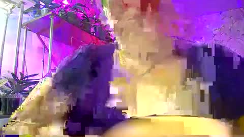 Lady Gloria online show from November 27, 6:27 am