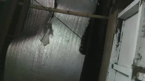 lady_love063 online show from January 16, 10:12 pm