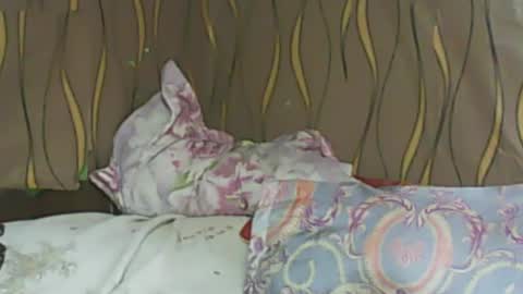LadyXSnakes online show from February 11, 6:08 am