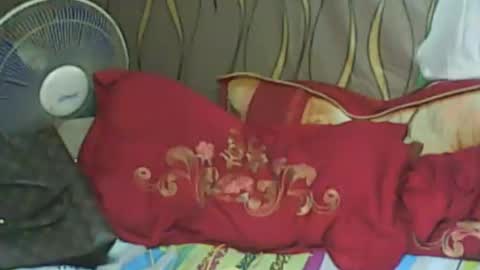 LadyXSnakes online show from January 23, 10:01 am