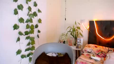 LAURA online show from May 19, 3:41 pm