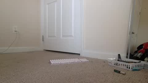 Alexia L. online show from January 7, 6:22 pm