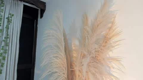 Lia online show from April 16, 3:29 am