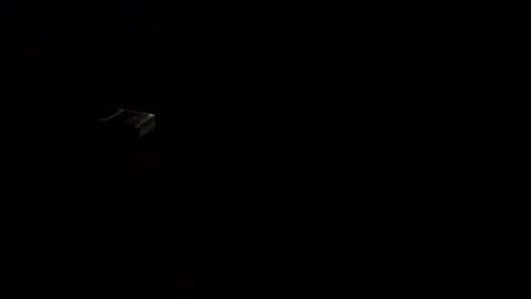 Liararegau online show from January 3, 2:32 am