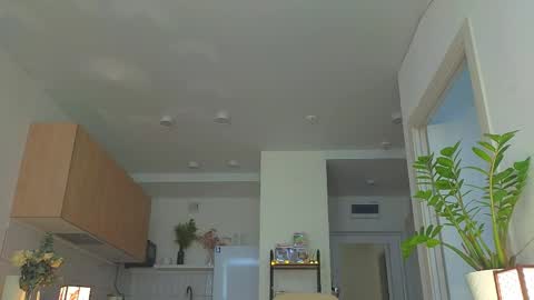 lili__roze_ online show from May 16, 5:21 am