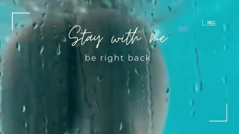 Lily online show from November 4, 7:13 am