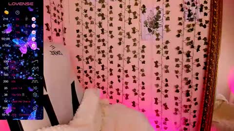 Lina online show from February 24, 8:24 am