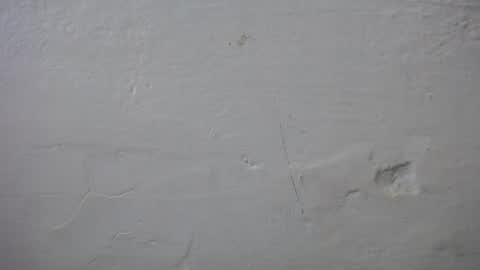 lisa_branch online show from October 6, 7:18 pm