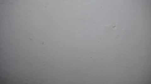 lisa_branch online show from December 2, 7:05 pm