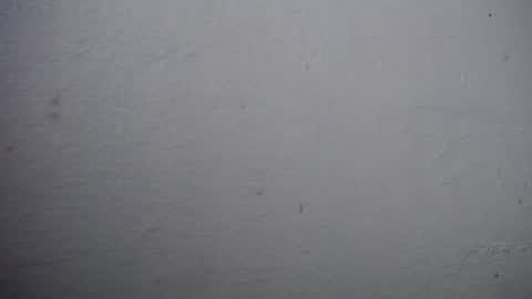 lisa_branch online show from October 31, 8:13 pm