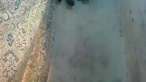 edra online show from October 13, 5:21 am