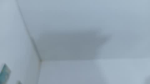  LIZBETH ROSS  online show from November 2, 12:41 pm