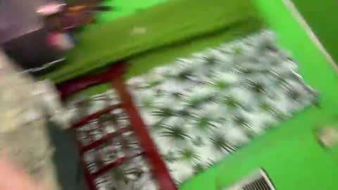 Pretty Janne 3 online show from January 9, 10:03 pm