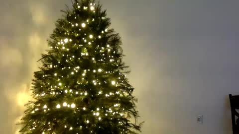 agnes online show from December 29, 10:25 pm