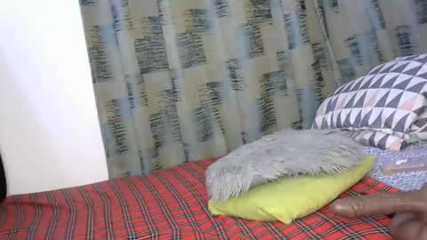 longjuicyclit online show from October 9, 1:21 am