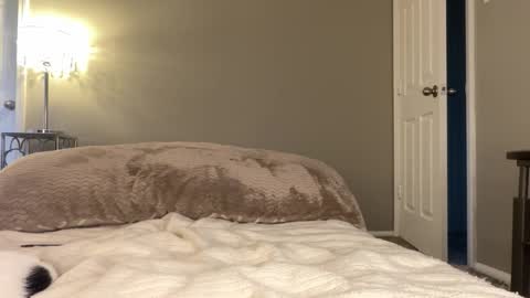 Lucy online show from November 25, 9:59 pm