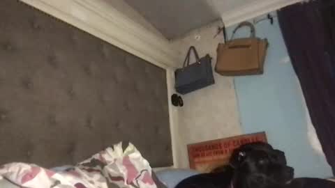 LuLu Valenttine Hot Sexy HawaiianCape Verde online show from December 16, 12:22 pm