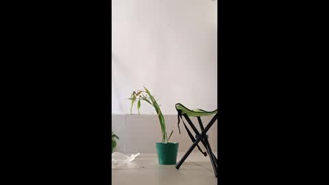 Luna sexgirl online show from April 11, 5:05 pm