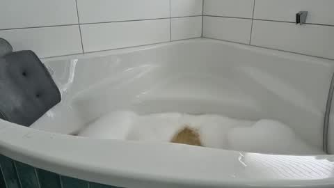 Luna  powered by bitch dust online show from October 13, 10:07 am