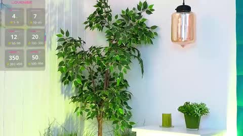 Luna online show from November 26, 6:14 am