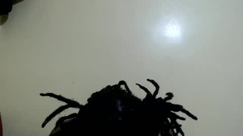 lyenne online show from December 1, 8:29 am