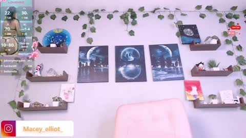 Snapshot of macey_hairy chatting on January 19, 12:38 am Macey Elliot Modelo Independiente online show from January 19, 12:38 am