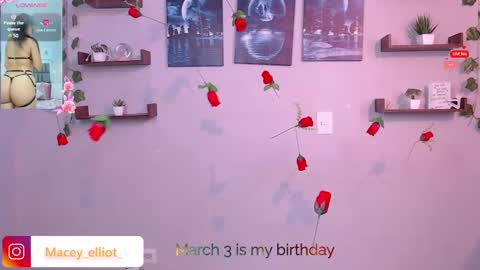Snapshot of macey_hairy chatting on March 2, 2:36 pm Macey Elliot Modelo Independiente online show from March 2, 2:36 pm