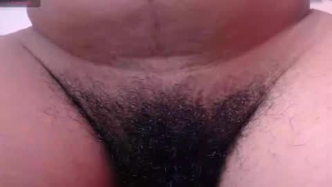Snapshot of macey_hairy chatting on February 28, 1:36 pm Macey Elliot Modelo Independiente online show from February 28, 1:36 pm