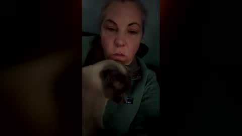 Madison online show from March 22, 4:24 pm