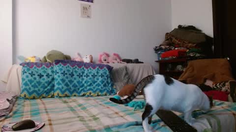 Malita online show from March 18, 9:53 pm